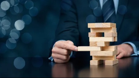 Risk Management Essentials for Professionals (Free Version)